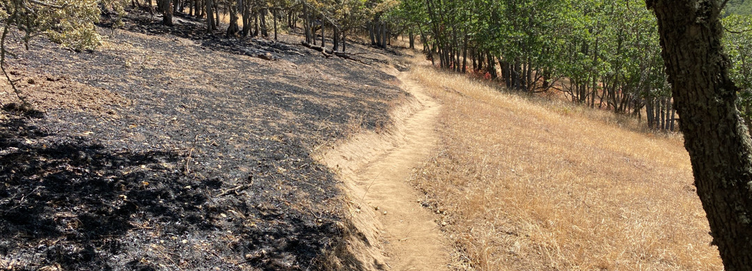 Early Fires in 2021 Forecast a Daunting Future